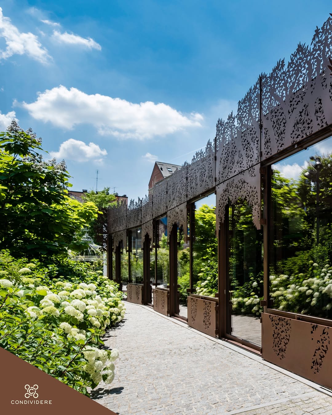 AAA